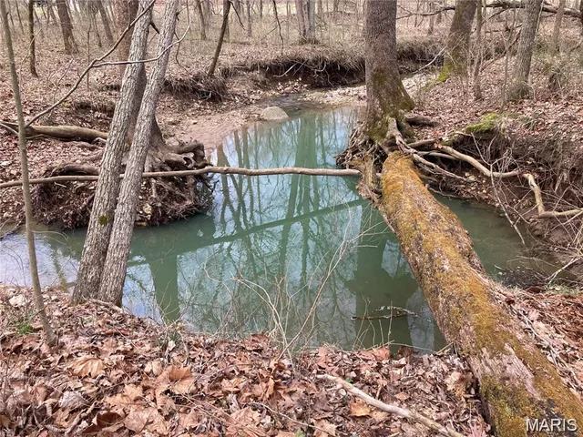 50.15 +/- Acres Pendleton Lost Creek Road, Warrenton MO
