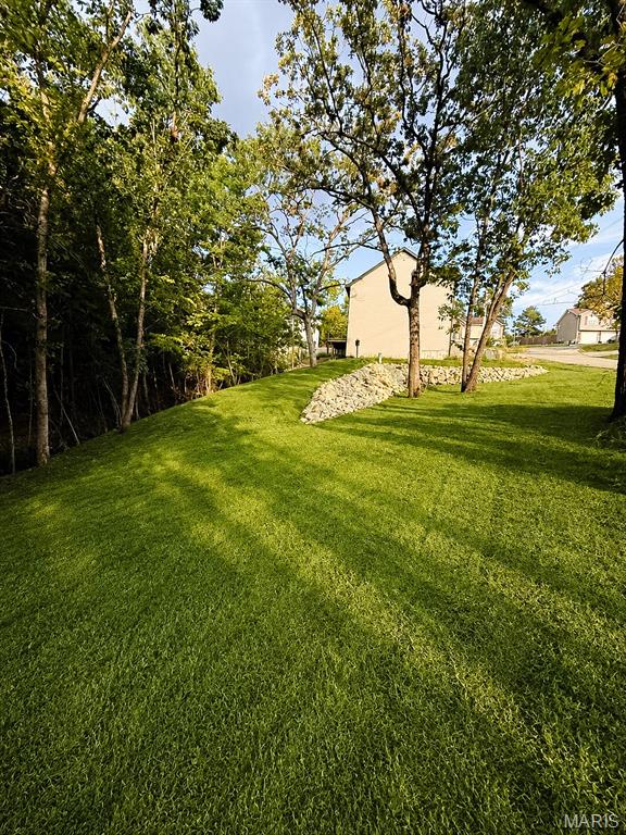 Photo 46
