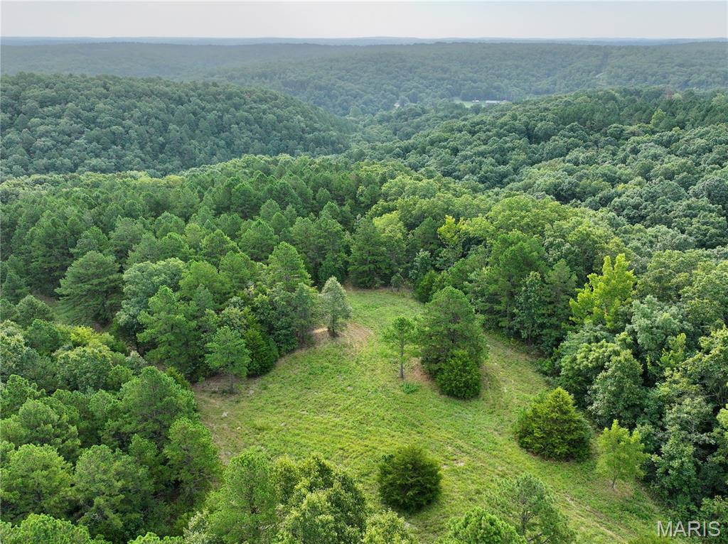 TBD County Road 6670 T8, Salem MO real estate