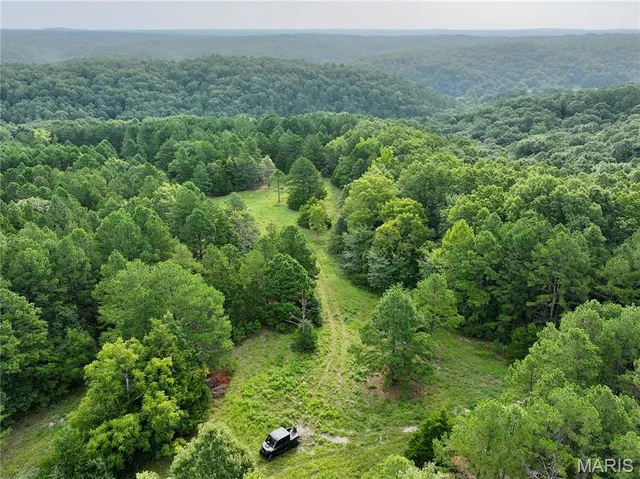 Primary bedroom — TBD County Road 6670 T8 Salem Missouri real estate