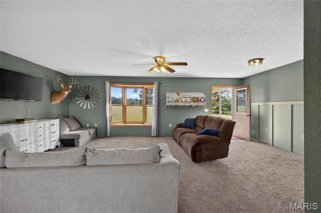 Living room — 15892 M- Mellow Drive Cabool Missouri real estate