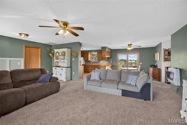 Kitchen — 15892 M- Mellow Drive Cabool Missouri real estate