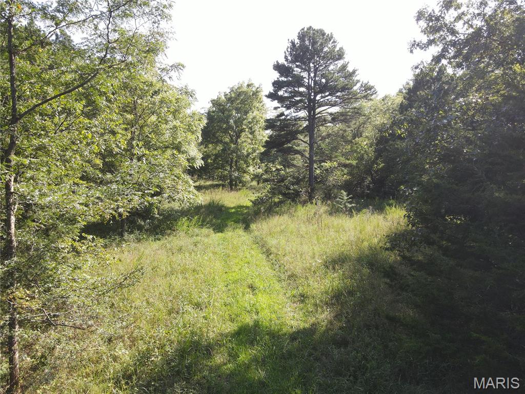000 Aspen Road Richwoods Missouri home for sale listed at $350,000