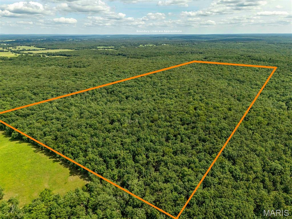 00 Fire Tower Road Steelville Missouri home for sale listed at $1