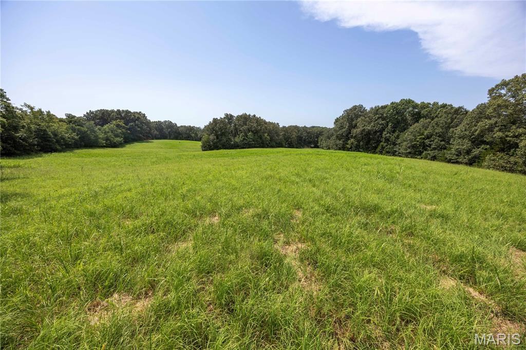 Tract 1 Sweetgum Ln, Millersville MO