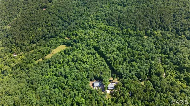 10564 Timberland Drive, Richwoods MO