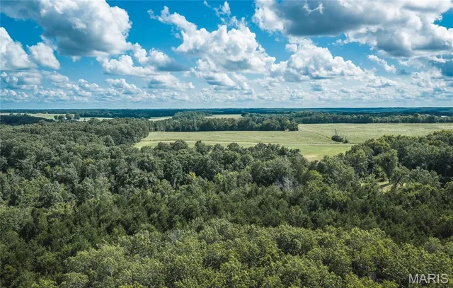 Primary bedroom — 27.94 Ac 00 State Hwy ZZ Owensville Missouri real estate