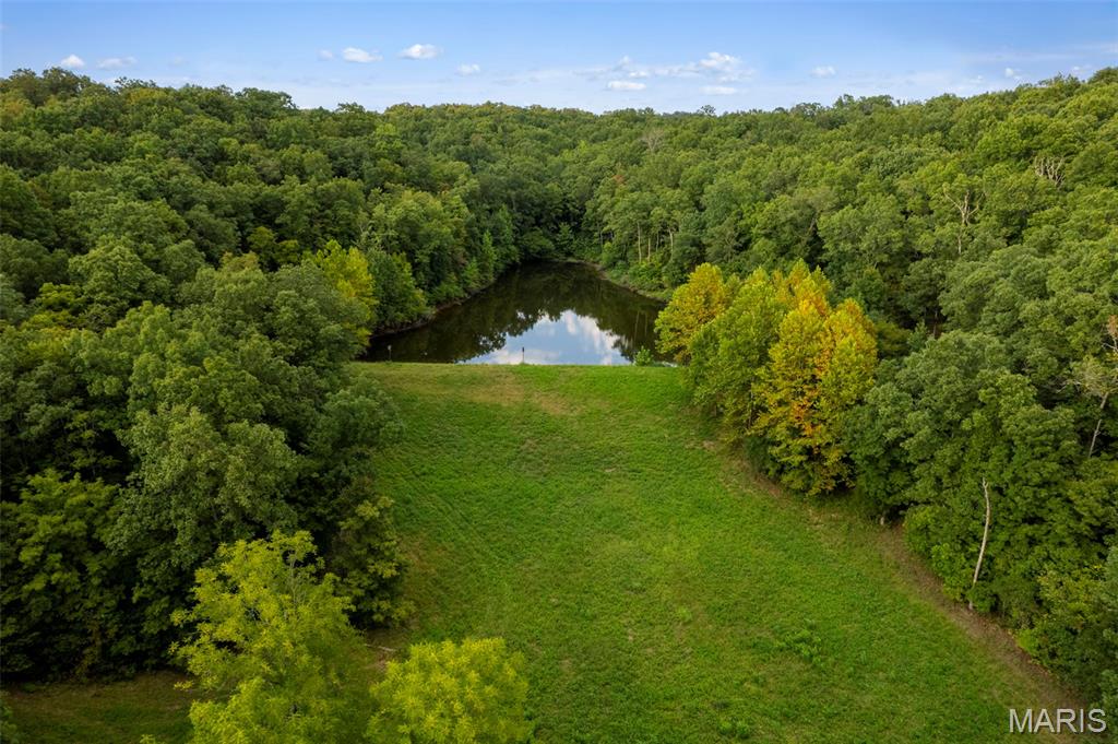 001 Wayne 526, Greenville MO real estate