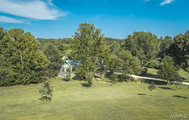 Living room — 81 Meadowlark Road Brumley Missouri real estate