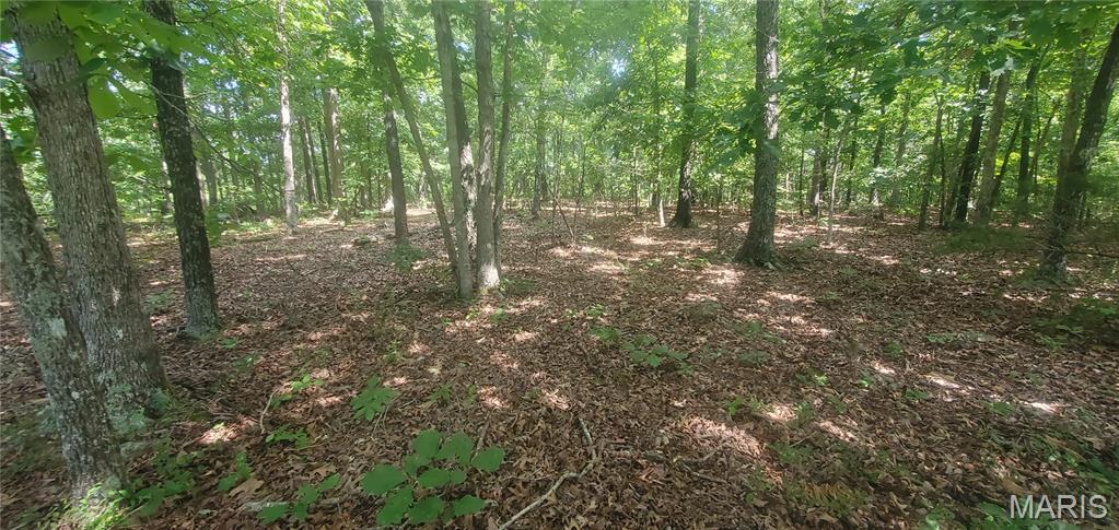 0000 Highway Y Elk Creek Missouri home for sale listed at $69,900