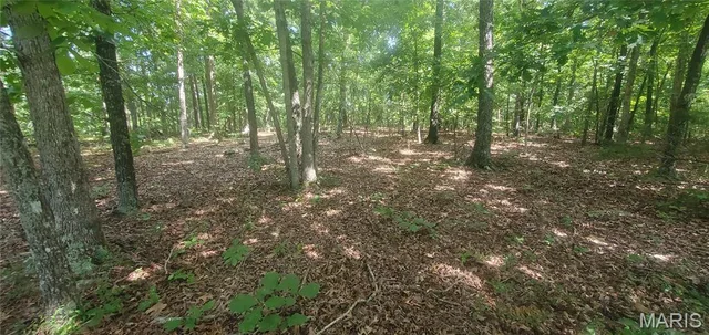 0000 Highway Y, Elk Creek MO