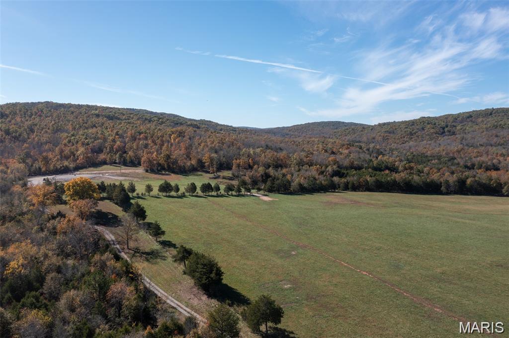 1030 Madison 9568 Fredericktown Missouri home for sale listed at $467,500