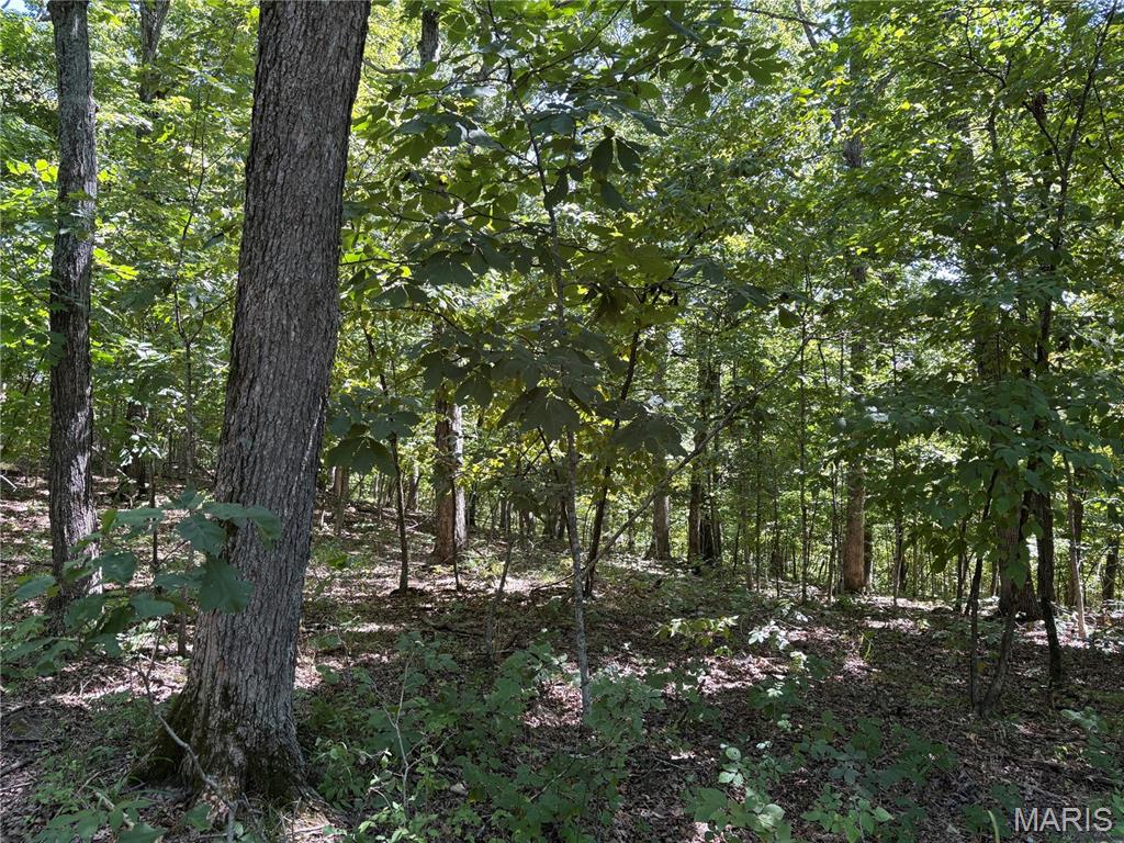 5.49 Acres T Warren, Warrenton MO