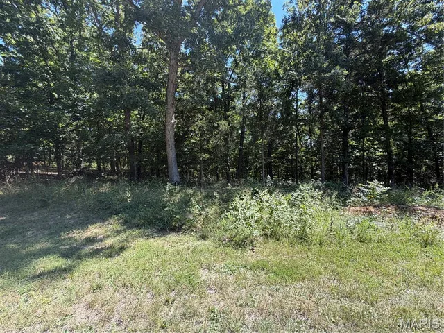 Front exterior — 5.49 Acres T Warren Warrenton Missouri real estate