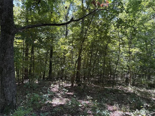 Kitchen — 5.49 Acres T Warren Warrenton Missouri real estate