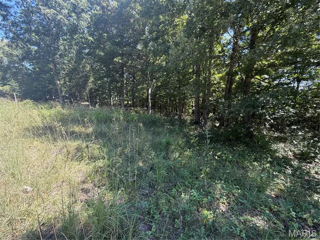 Primary bedroom — 5.49 Acres T Warren Warrenton Missouri real estate