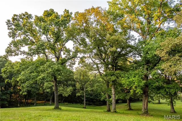 Living room — 0 Highway D - Tract 6 (23.6+/- Acres) Eolia Missouri real estate