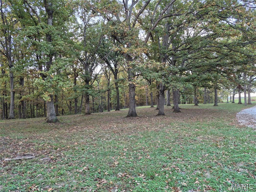 Photo 24