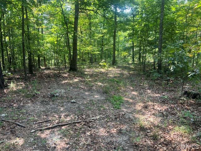 0 County Road 341, Piedmont MO real estate