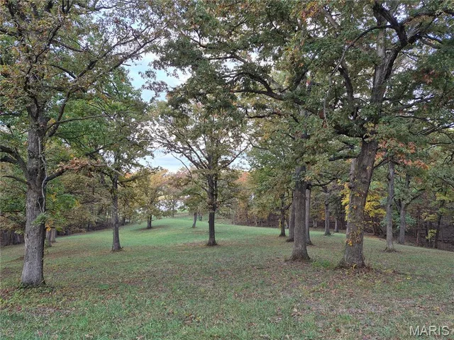 Kitchen — 0 Highway D - Tract 6a (12.1+/- Acres) Eolia Missouri real estate