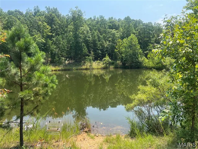 0000 County Road 341, Piedmont MO real estate
