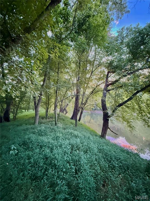 Photo 24