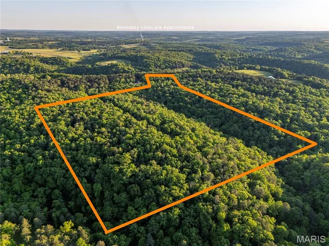 37+/- Forrest Drive, Houston MO