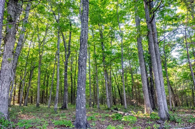 Primary bedroom — 25+/- Forrest Drive Houston Missouri real estate