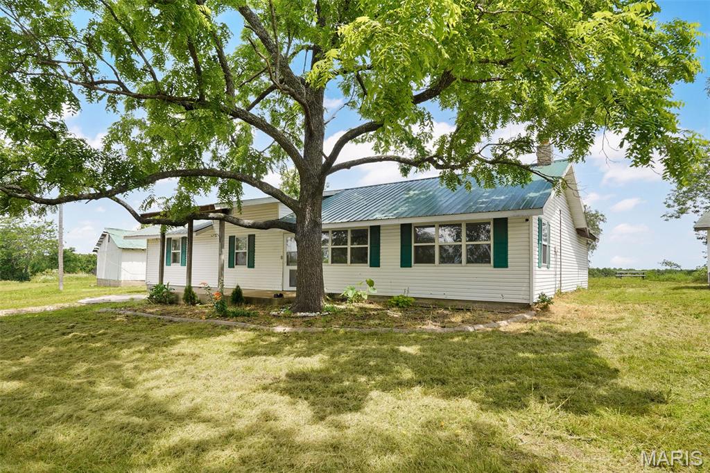 Photo 41