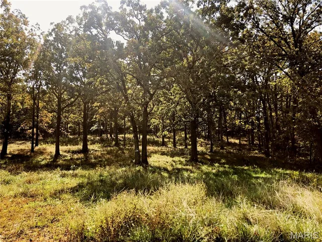 10240 County Road 3060, Rolla MO