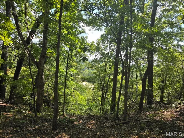 Primary bedroom — 19320 Highway 8 - Tract 4 St James Missouri real estate