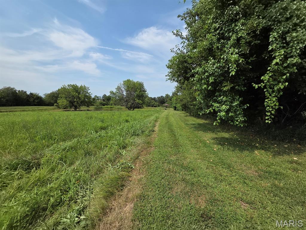 Photo 41