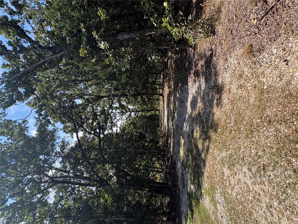 16507 State Route K Edgar Springs Missouri home for sale listed at $59,000