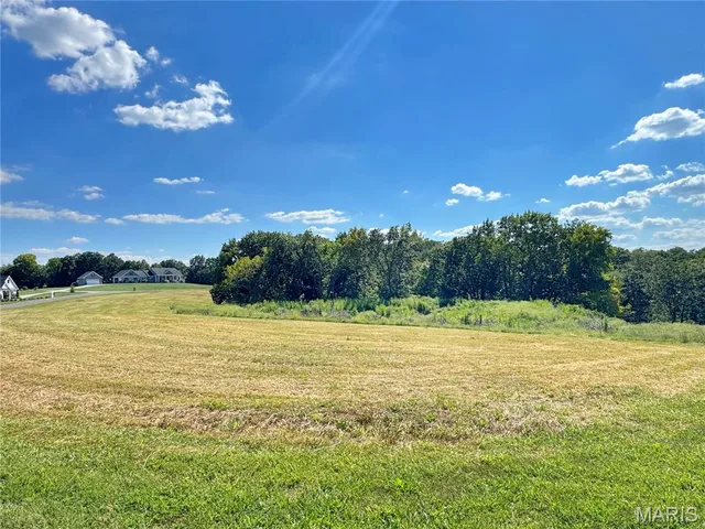 Living room — Lot 1 Austin Drive Washington Missouri real estate