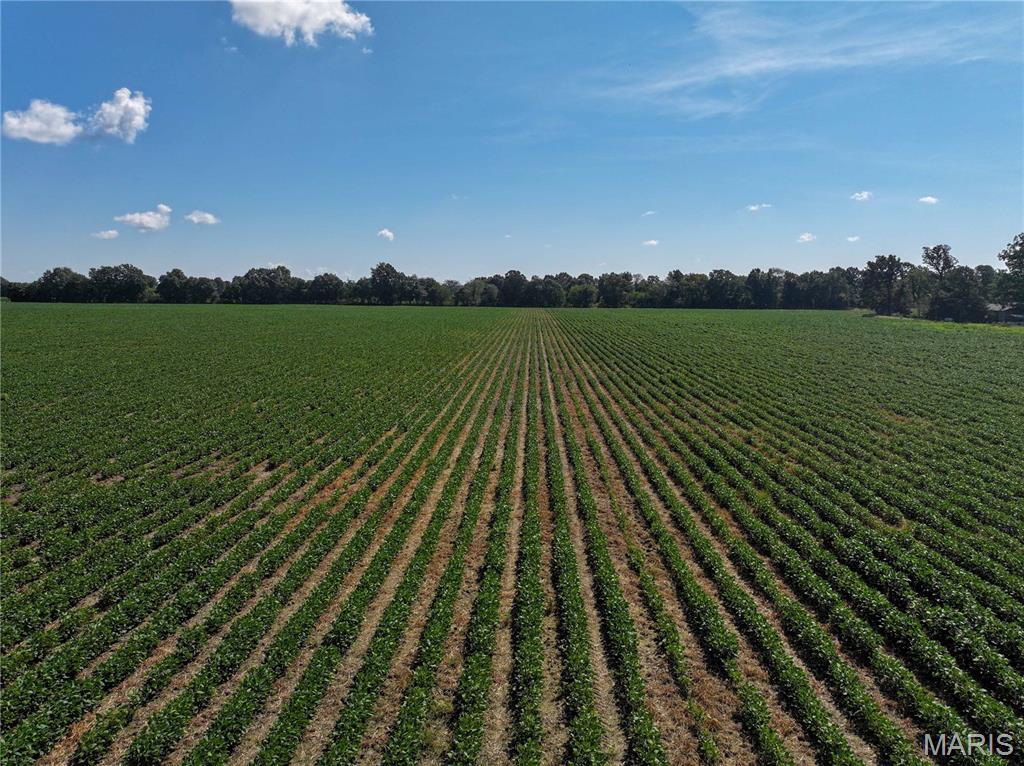 36996 State Highway 53 Campbell Missouri home for sale listed at $1