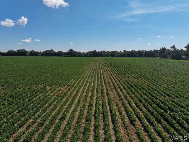 36996 State Highway 53, Campbell MO real estate