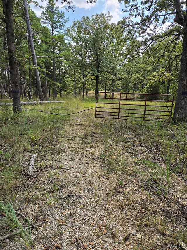 17740 County Road 7460, Unincorporated MO