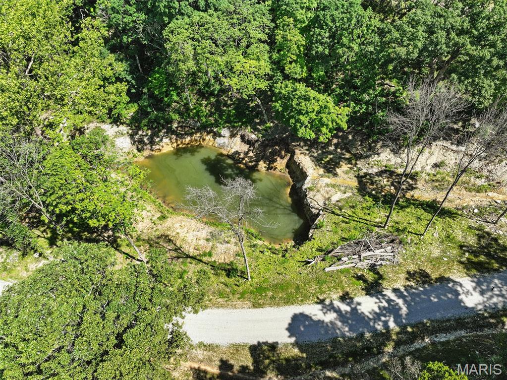 45 +/- Ac Twin River Road Eureka Missouri home for sale listed at $1,200,000