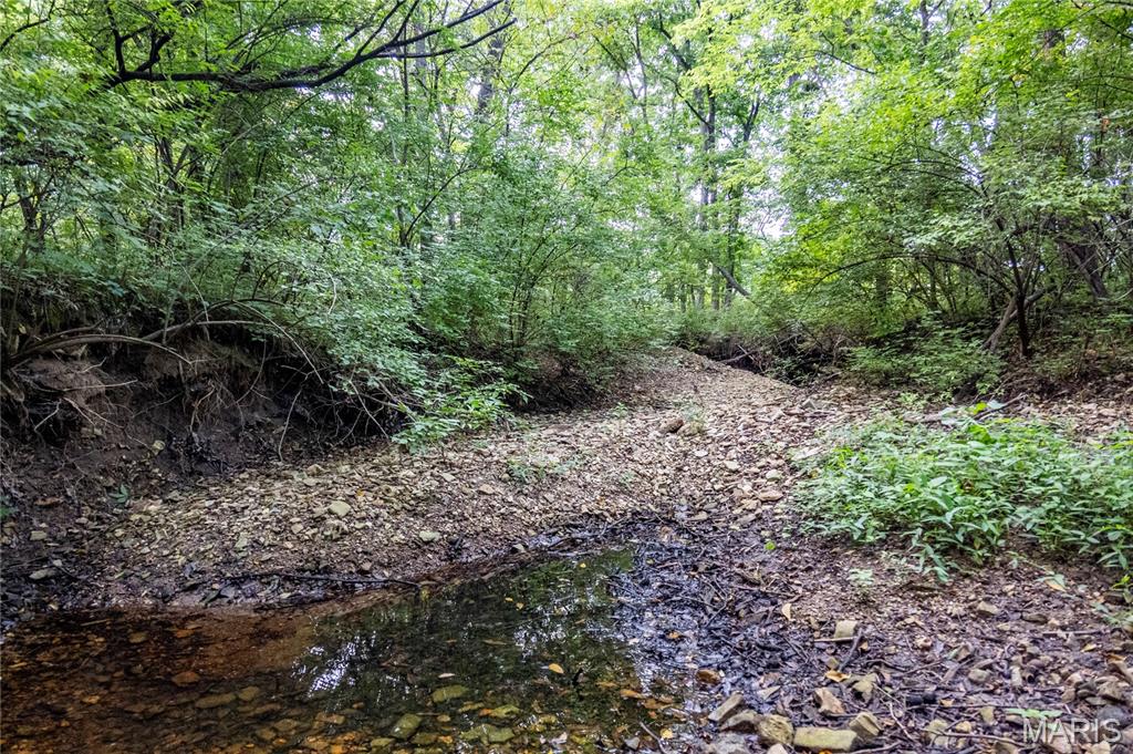Photo 34