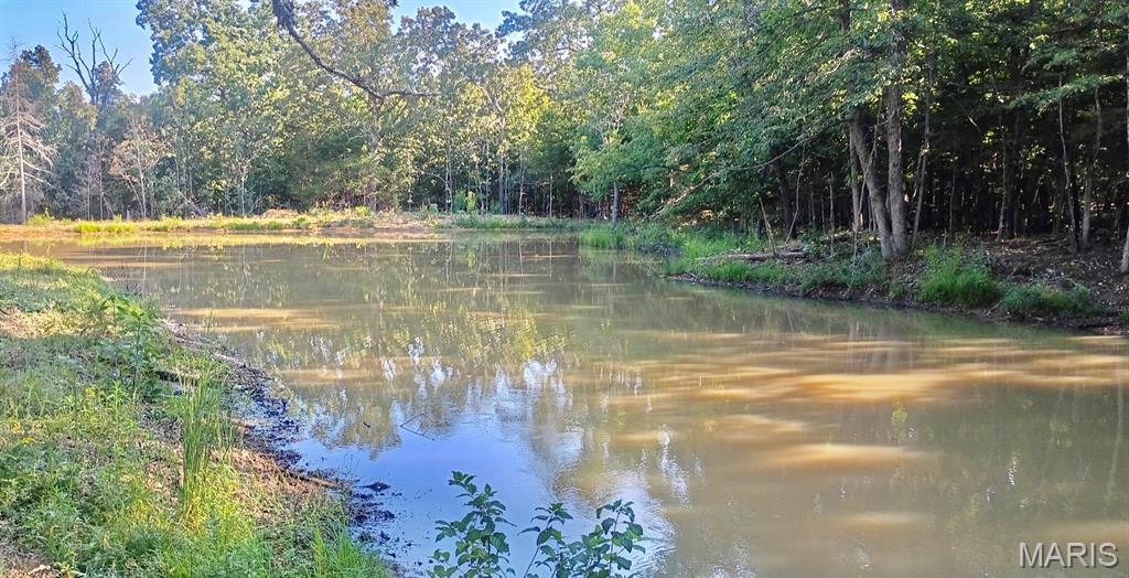 Lot 11 County Road 4180 Salem Missouri home for sale listed at $72,900