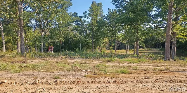 Kitchen — Lot 11 County Road 4180 Salem Missouri real estate