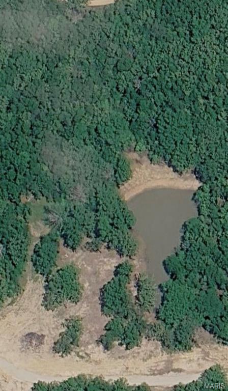 Primary bedroom — Lot 11 County Road 4180 Salem Missouri real estate