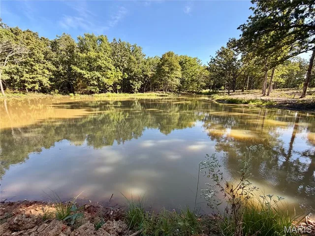 Front exterior — Lot 11 County Road 4180 Salem Missouri real estate