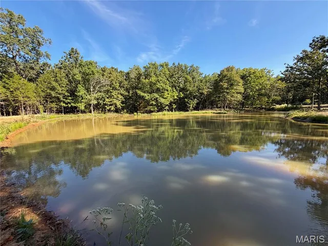 Living room — Lot 11 County Road 4180 Salem Missouri real estate