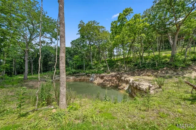 Kitchen — 45 +/- Ac Twin River Road Eureka Missouri real estate