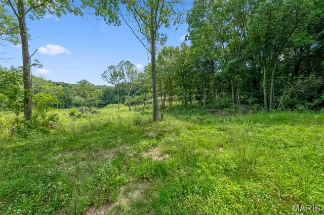 Primary bedroom — 45 +/- Ac Twin River Road Eureka Missouri real estate