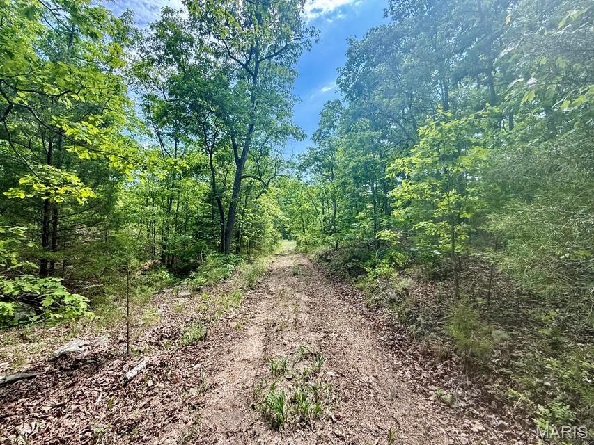 000 Bailey Licking Missouri home for sale listed at $345,000