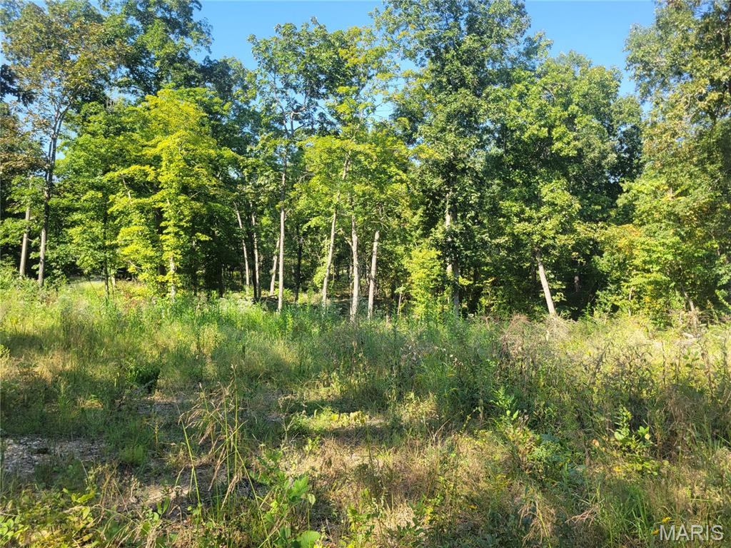 Photo 45