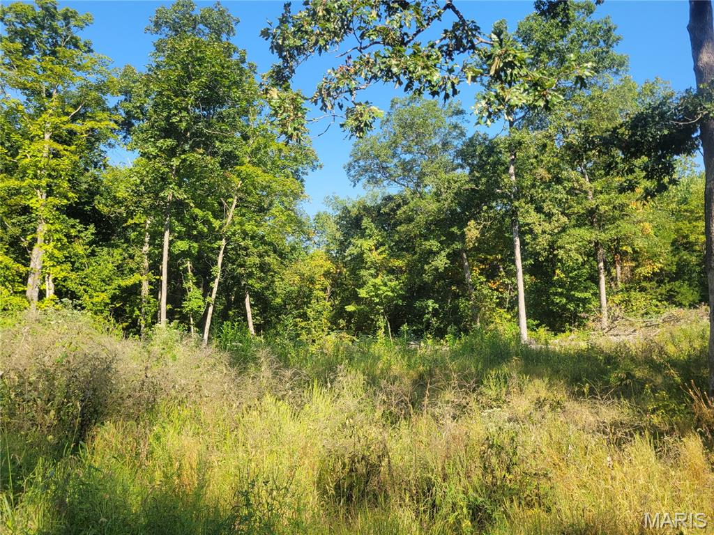 Photo 48