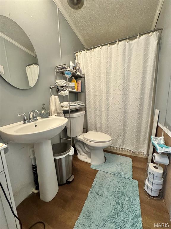 Photo 19